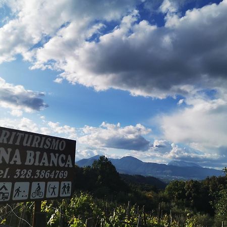 Agriturismo Donna Bianca Mormanno Eksteriør bilde