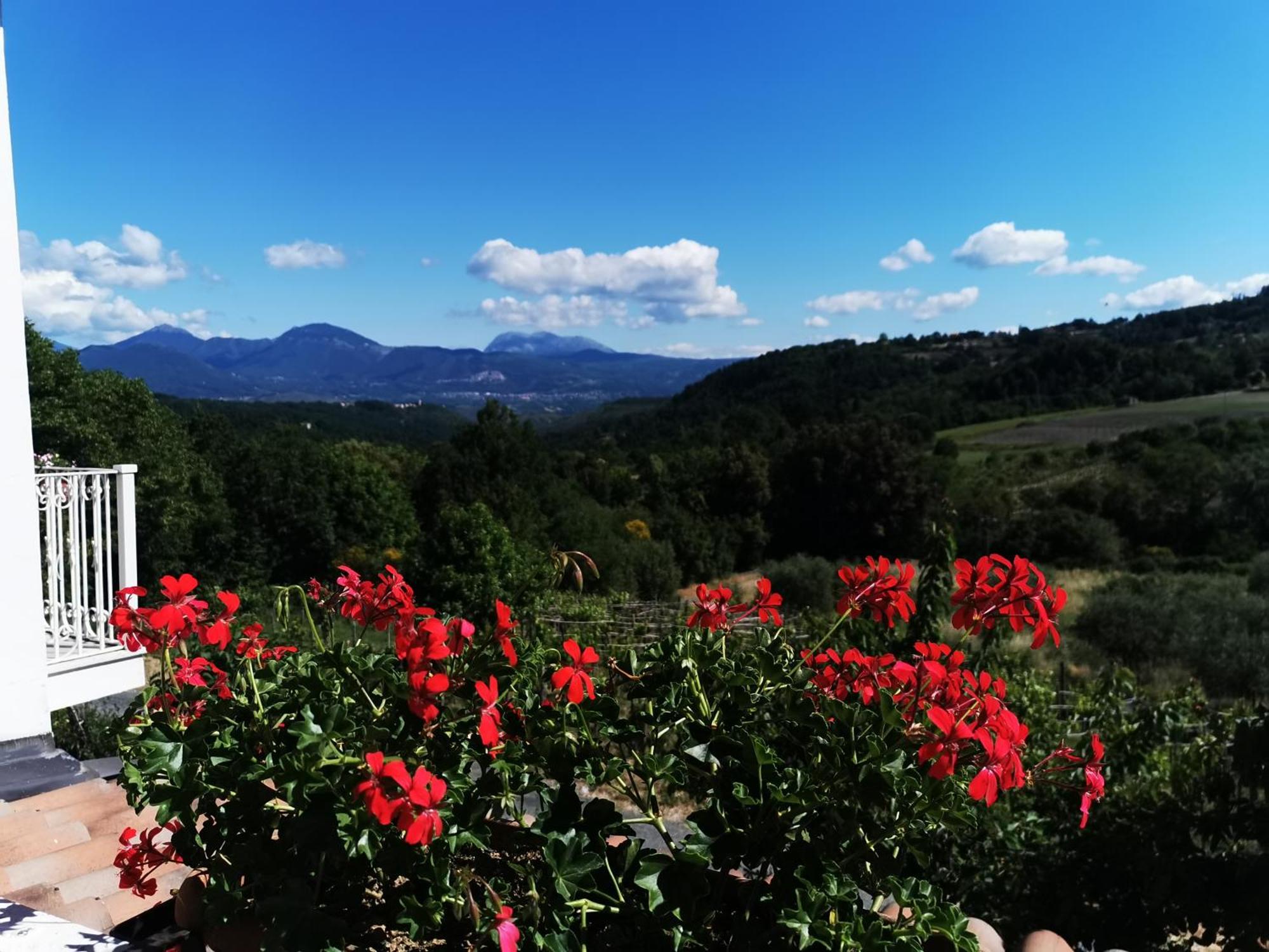Agriturismo Donna Bianca Mormanno Eksteriør bilde