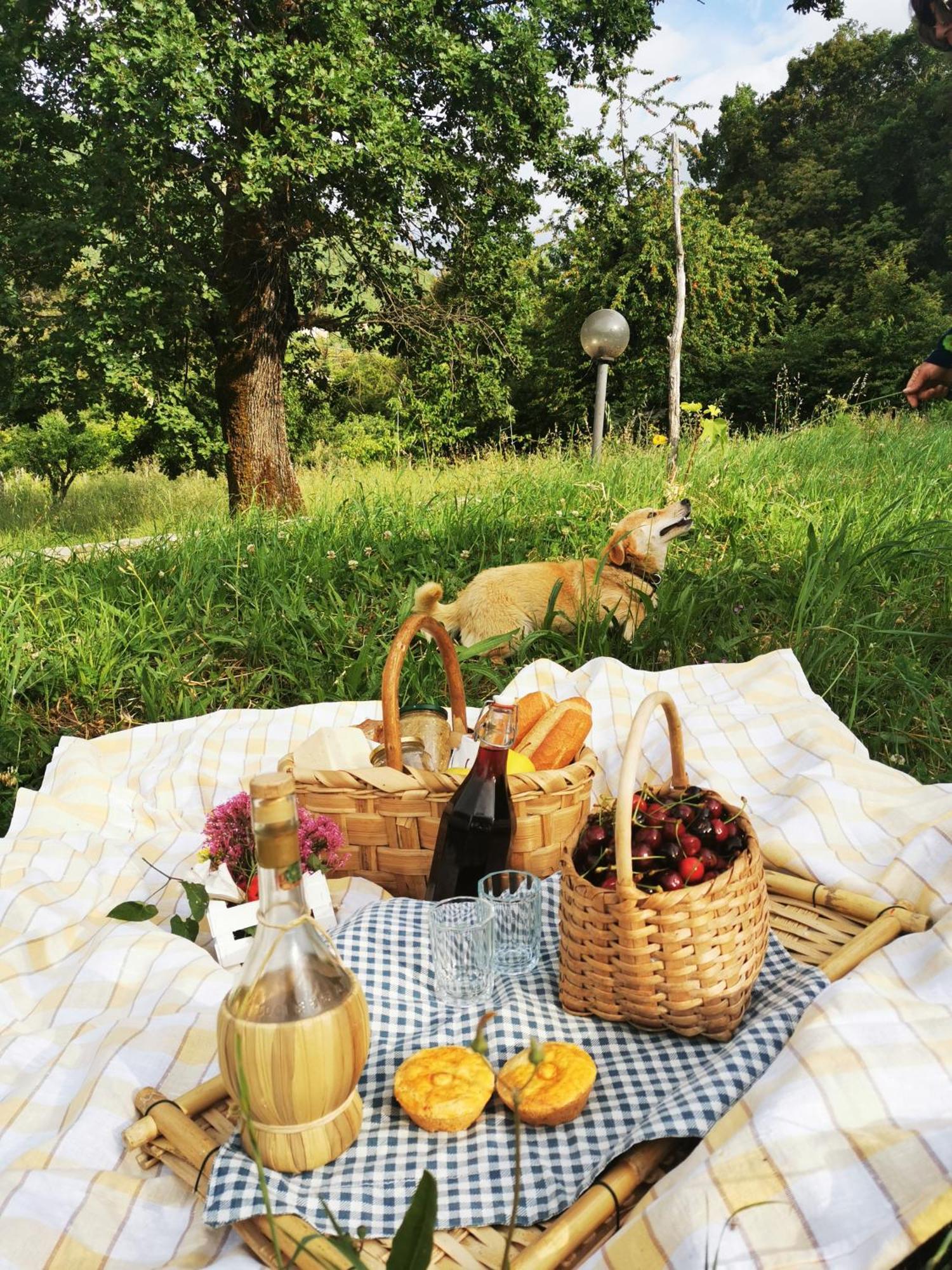Agriturismo Donna Bianca Mormanno Eksteriør bilde