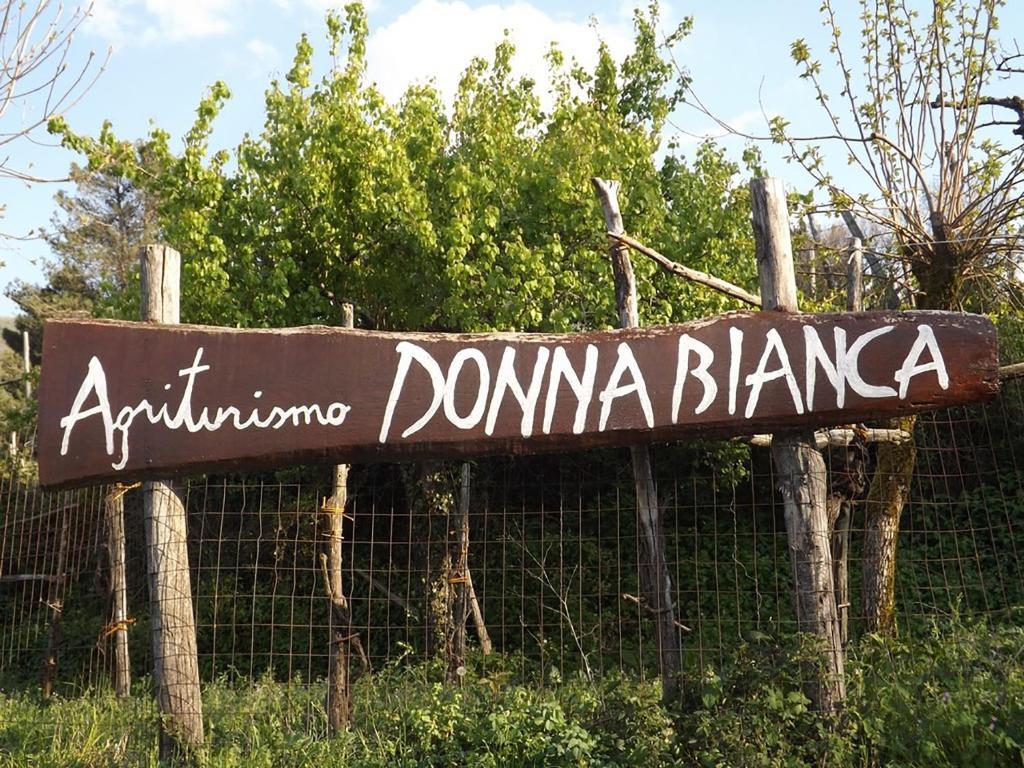 Agriturismo Donna Bianca Mormanno Eksteriør bilde